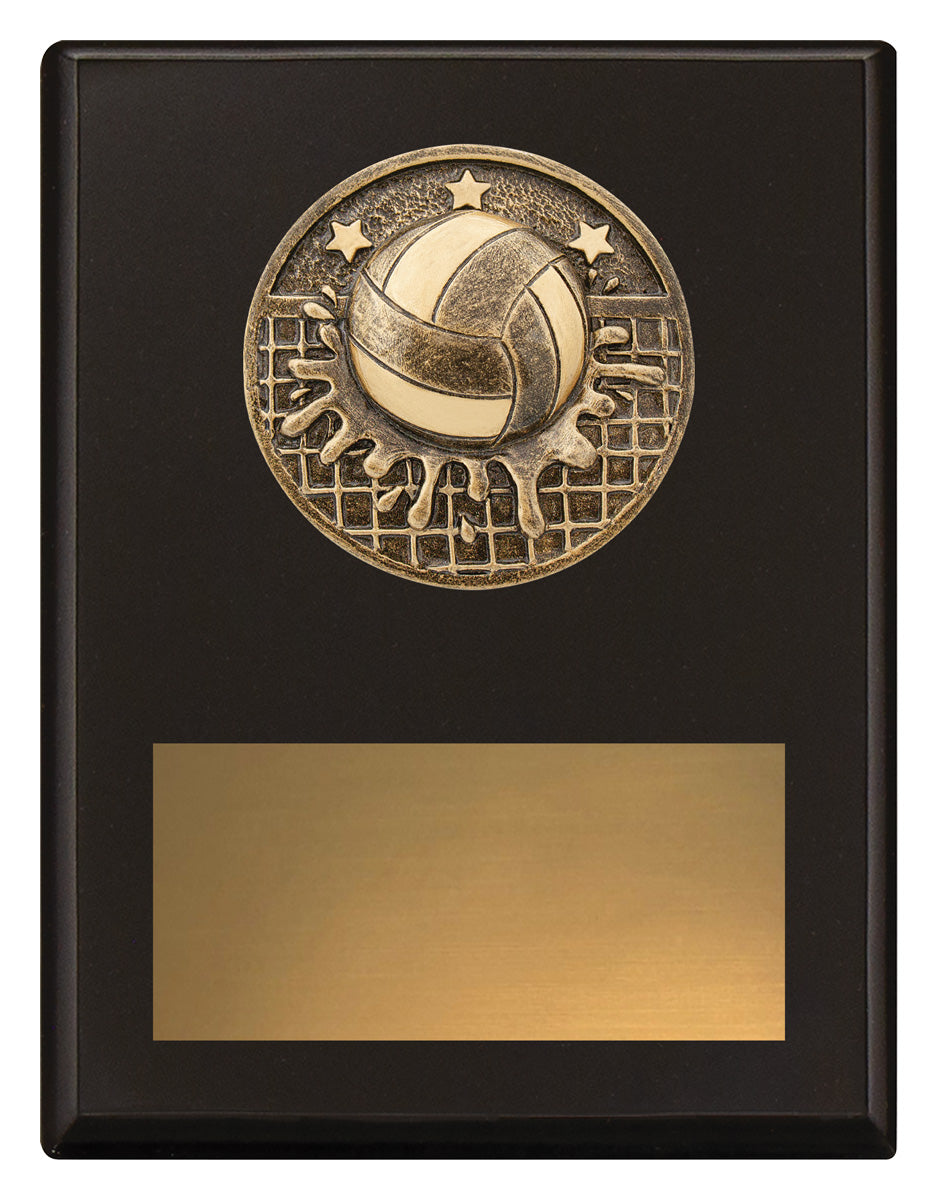 Challenge Plaque - Water Polo 175mm