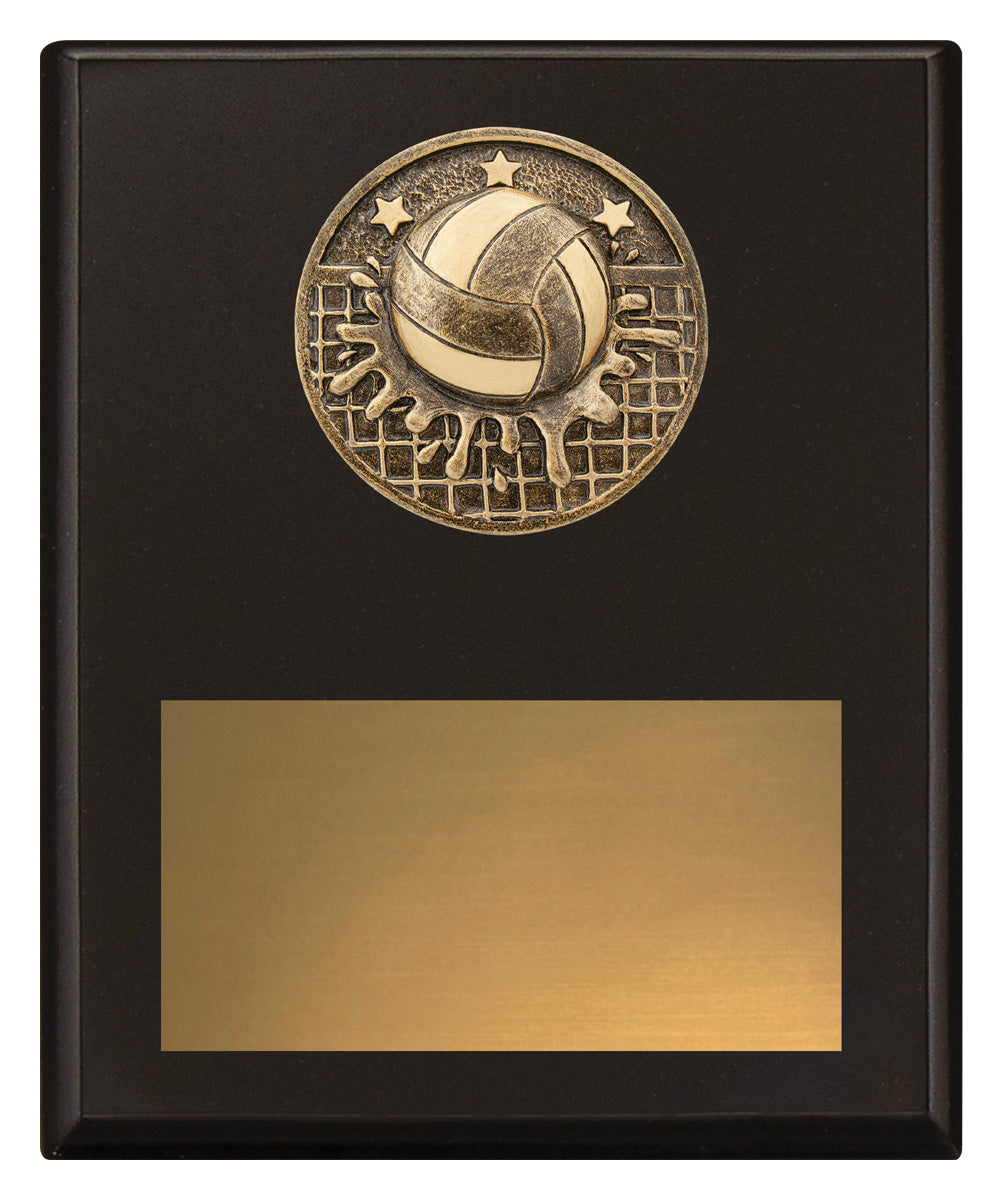 Challenge Plaque - Water Polo 200mm