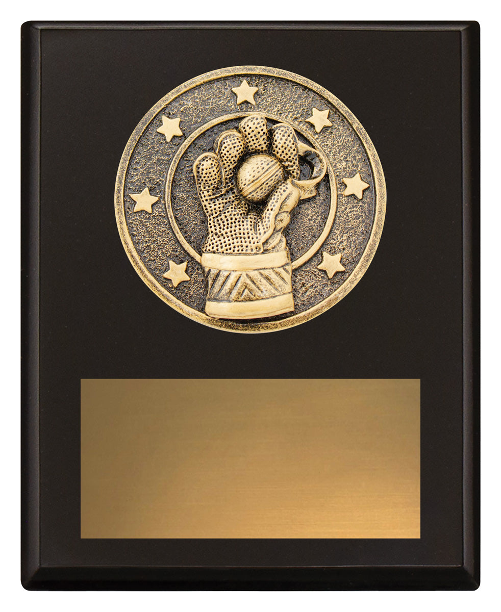 Challenge Plaque - Wicketkeeping 150mm