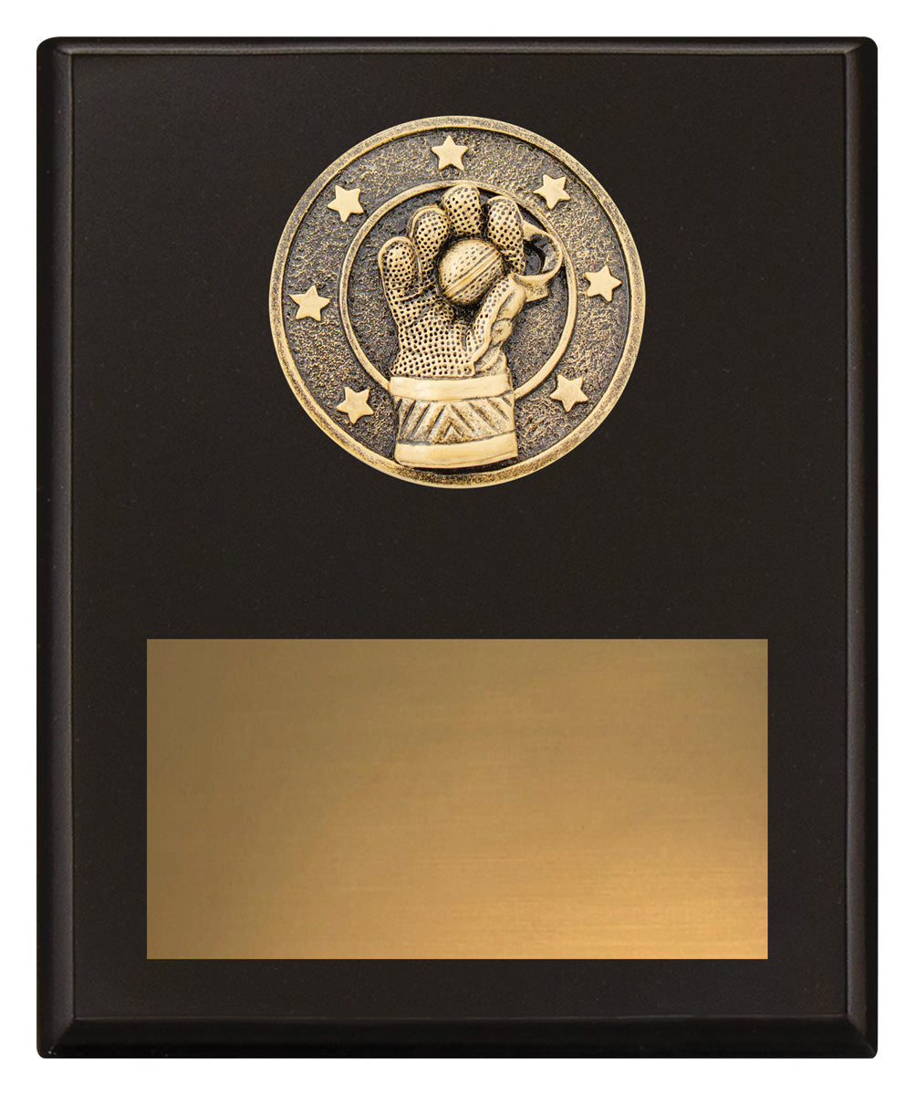 Challenge Plaque - Wicketkeeping 200mm