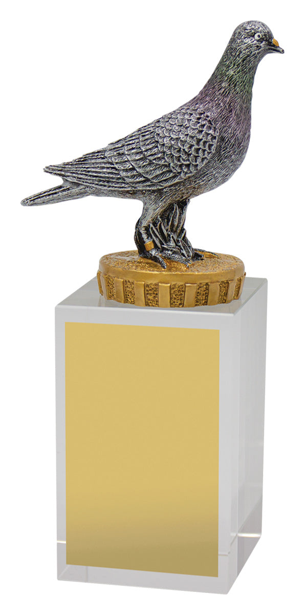 Pigeon Budget Crystal 160mm