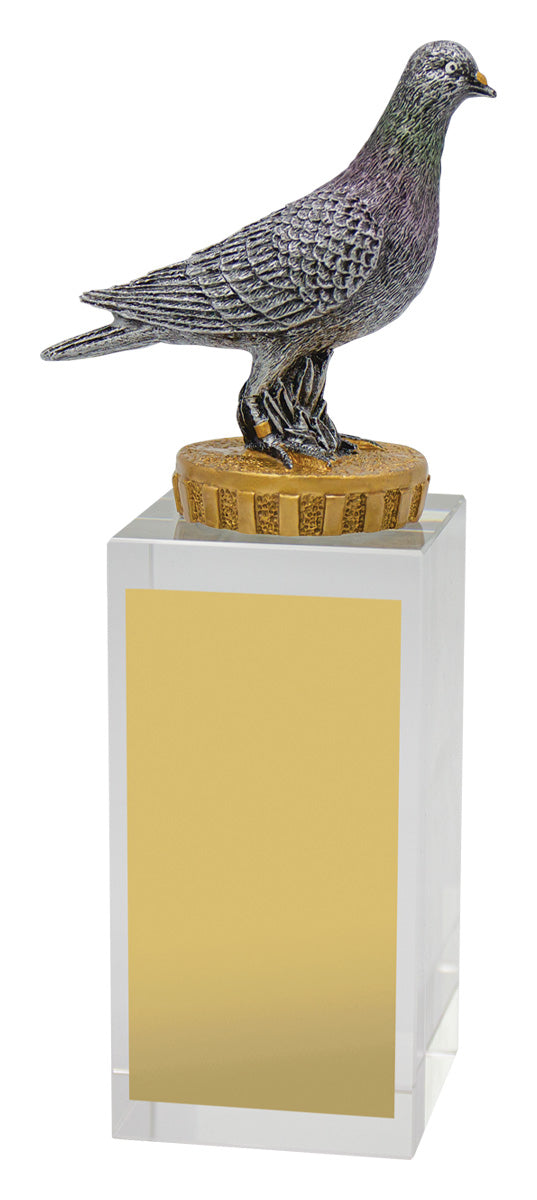 Pigeon Budget Crystal 175mm