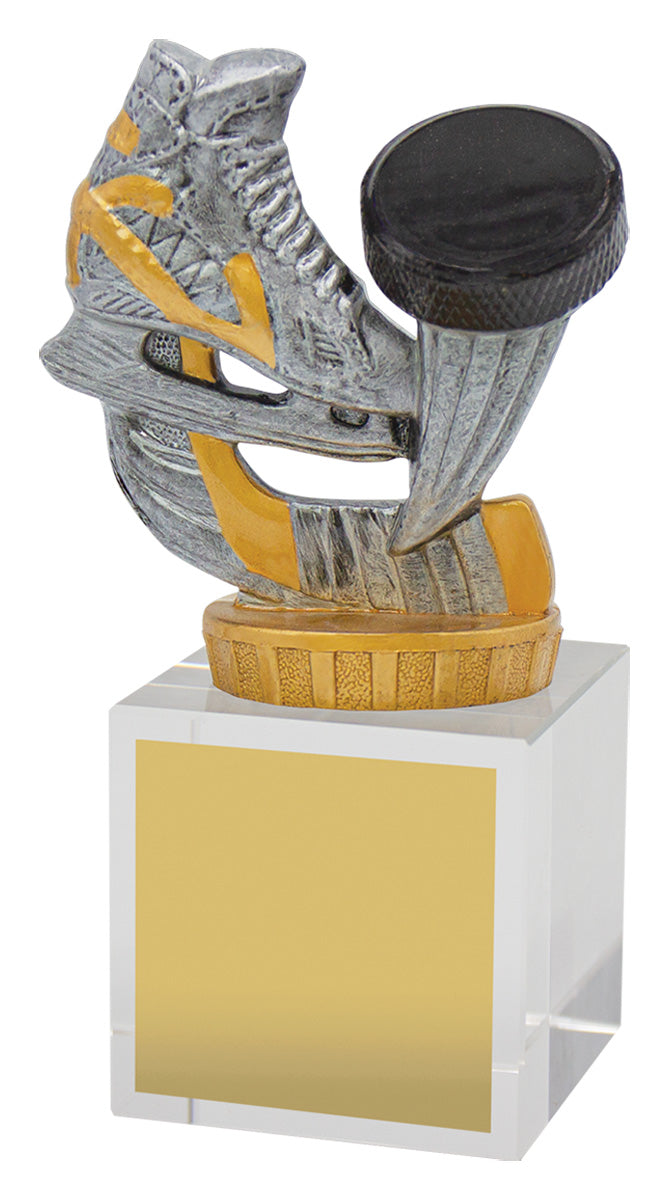 Ice Hockey Budget Crystal 120mm