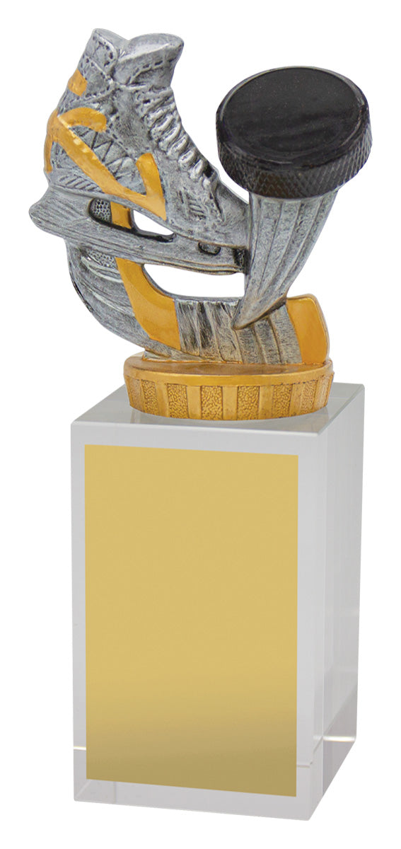 Ice Hockey Budget Crystal 160mm