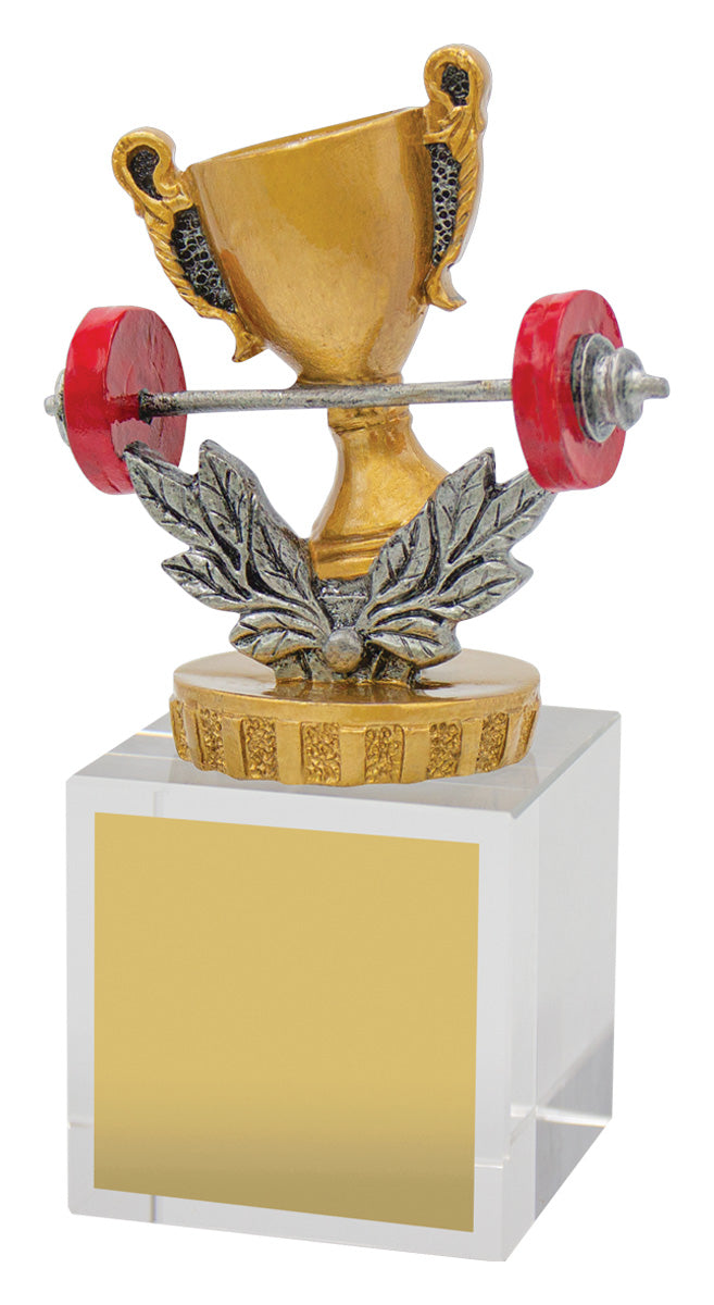 Fitness Budget Crystal 120mm