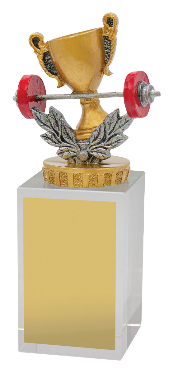 Fitness Budget Crystal 160mm