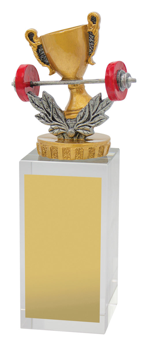 Fitness Budget Crystal 175mm