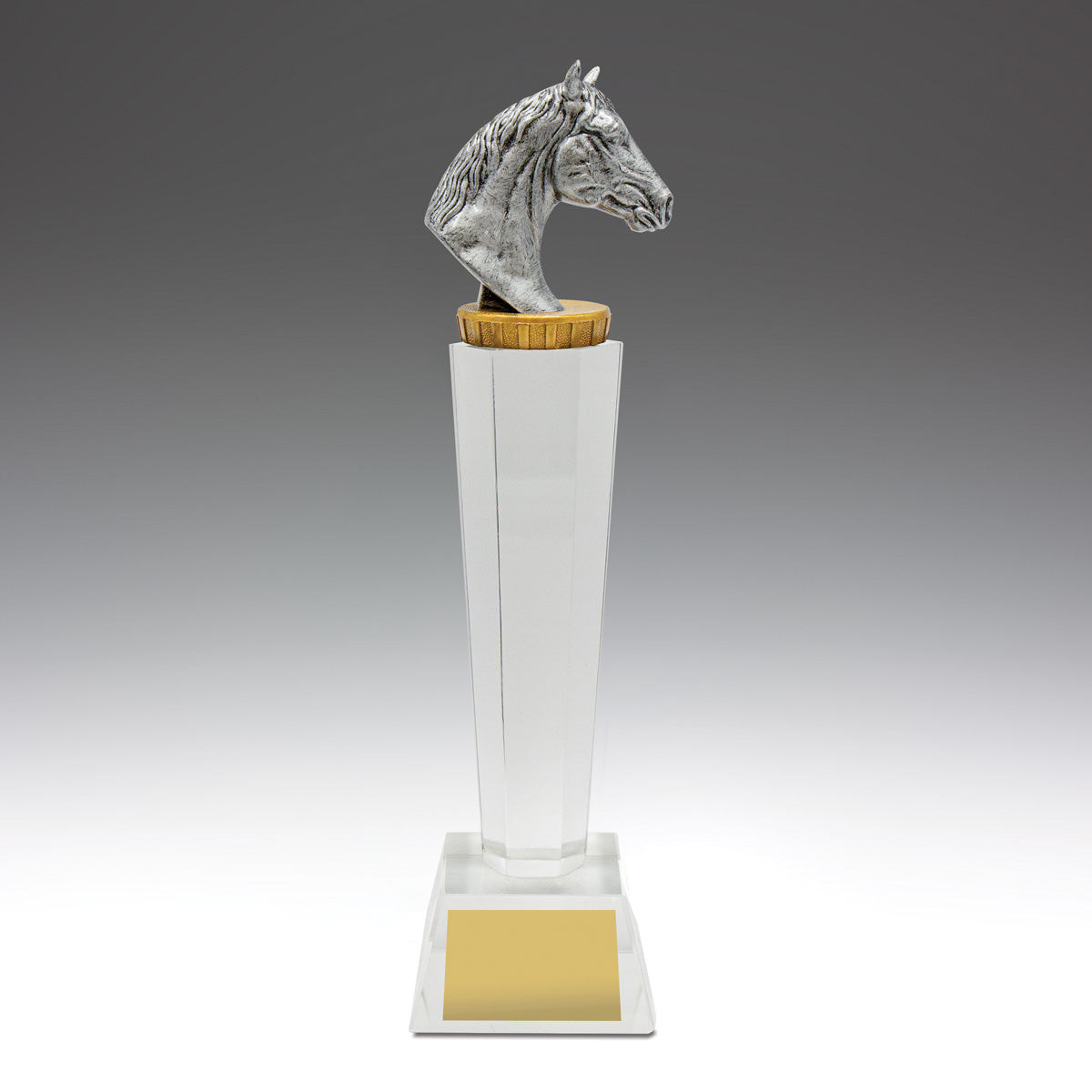 Horse Crystal 290mm