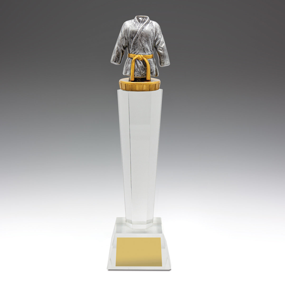 Martial Arts Crystal 290mm