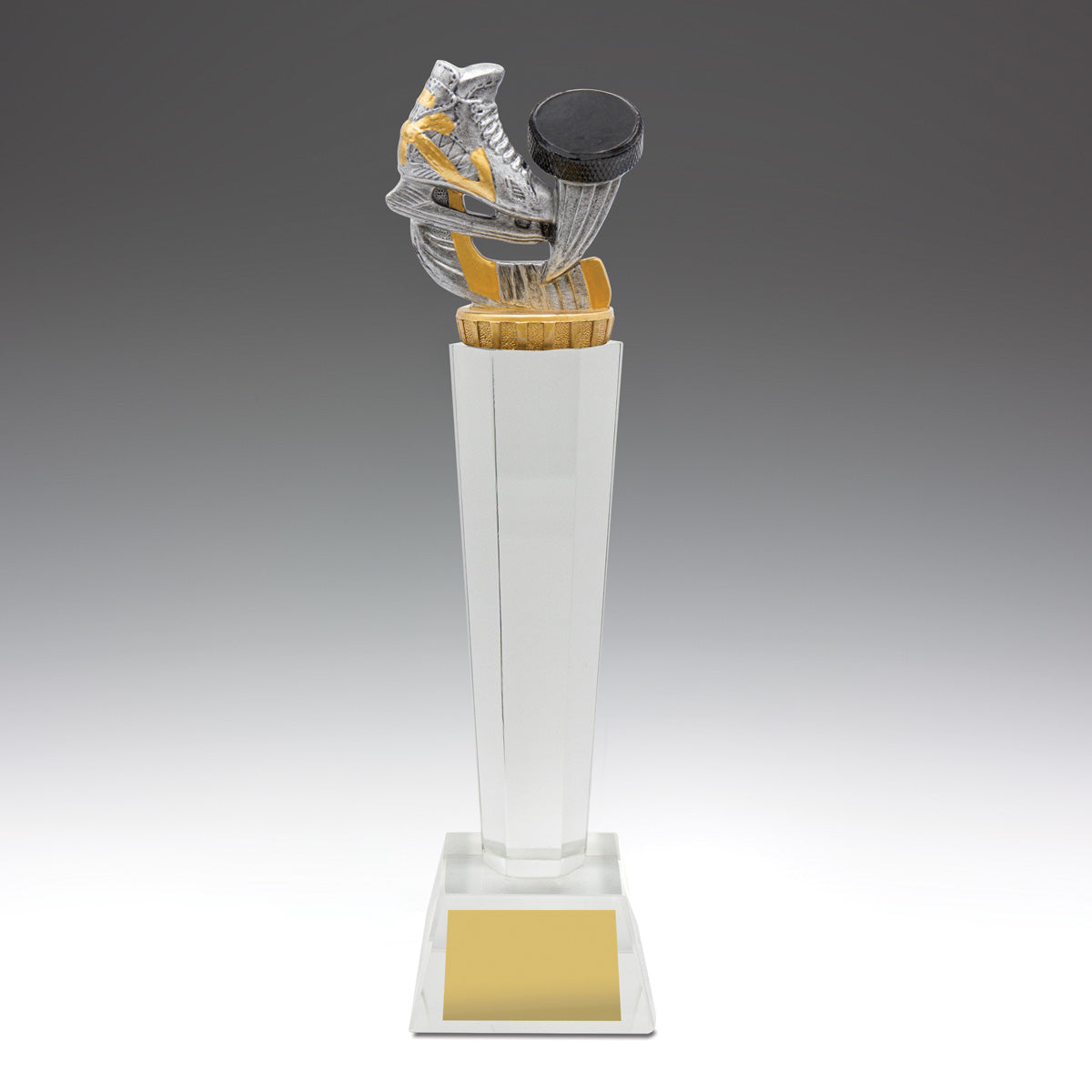 Ice Hockey Crystal 290mm