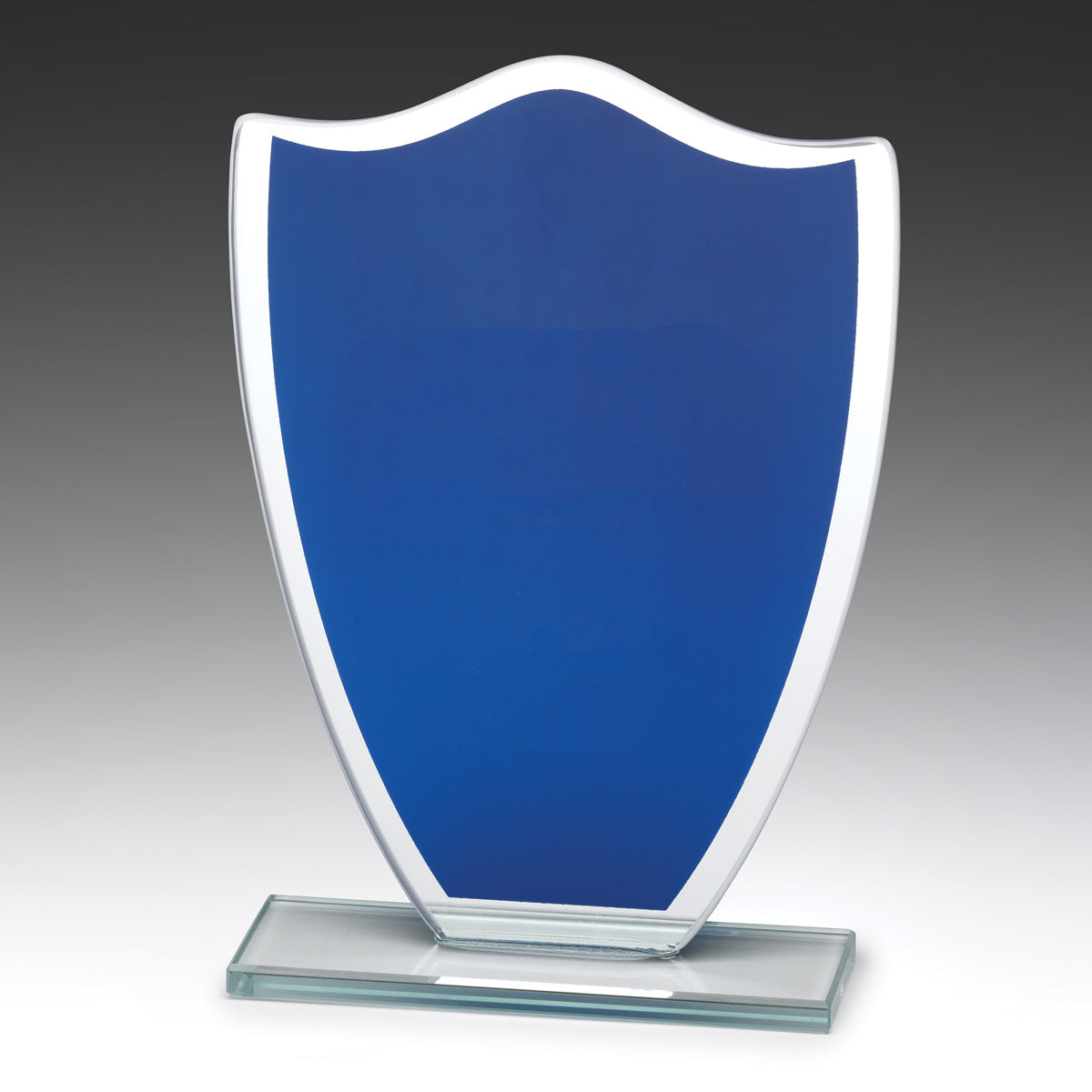 Blue Glass Shield 165mm