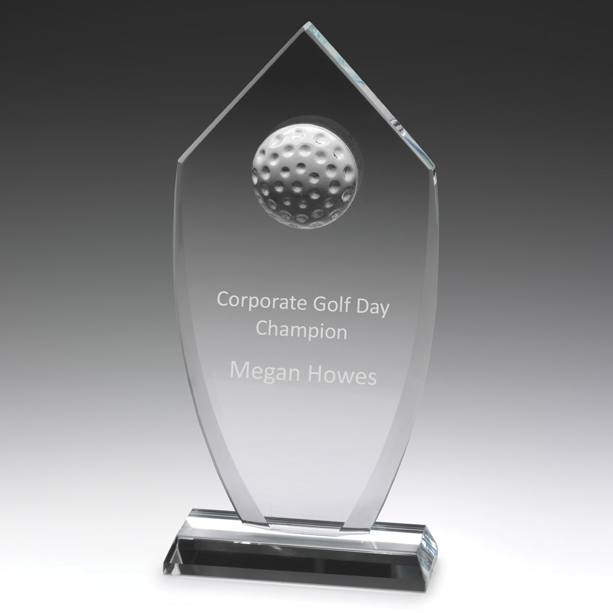 Glass Budget Shield 200mm