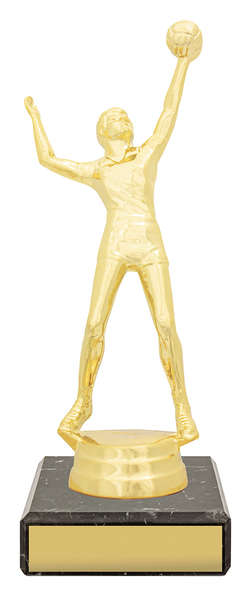 Figure Trophy - Male Volleyball 170mm