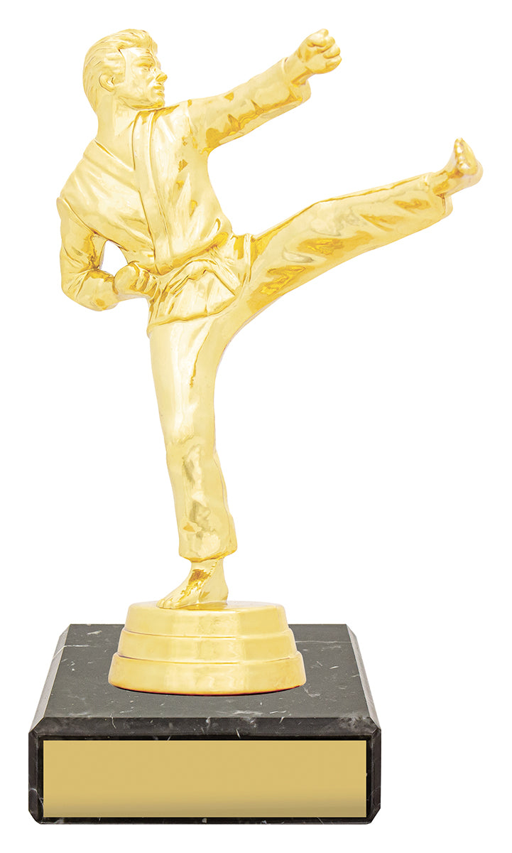 Figure Trophy - Male Karate 145mm