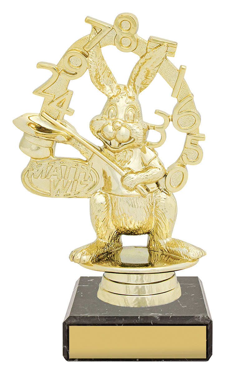 Figure Trophy - Maths 150mm