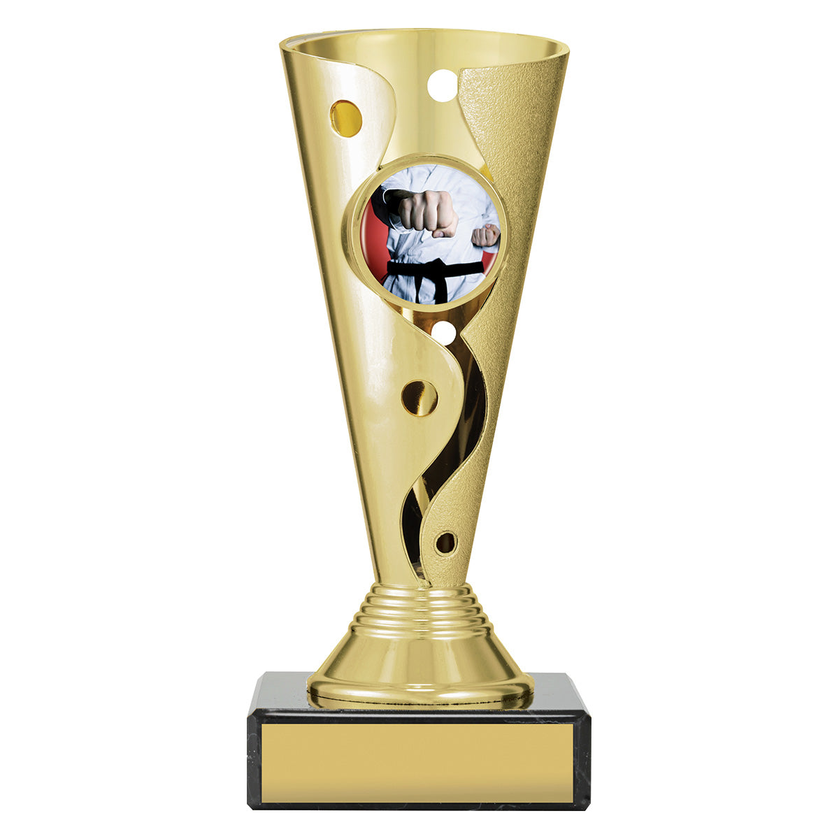 Martial Arts Aspire Carnival Cup