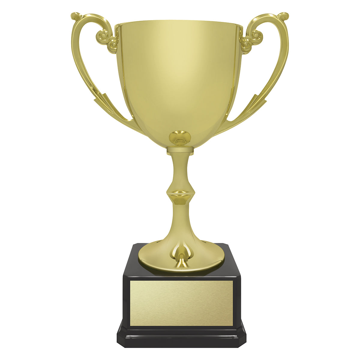 Recognition Cups