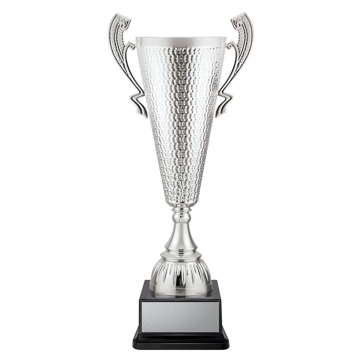 Sentinel Cup
