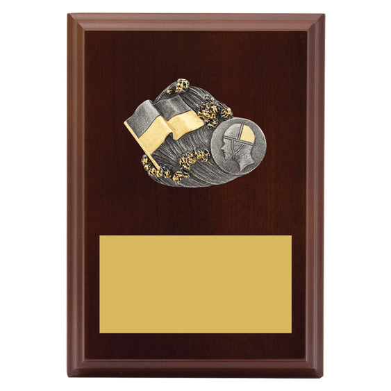 Peak Plaque Lifesaving