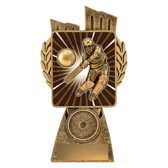 Lynx - Cricket Batsman