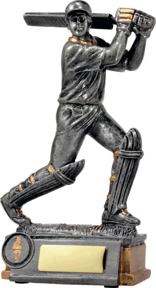 Cricket Batsman TCD