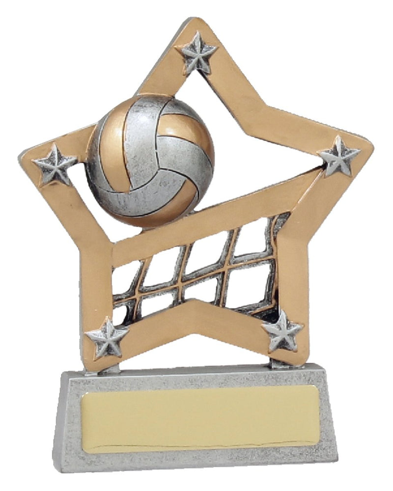 Volleyball Mini Star TCD