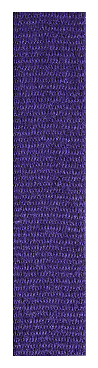 Purple Loop Ribbon TCD