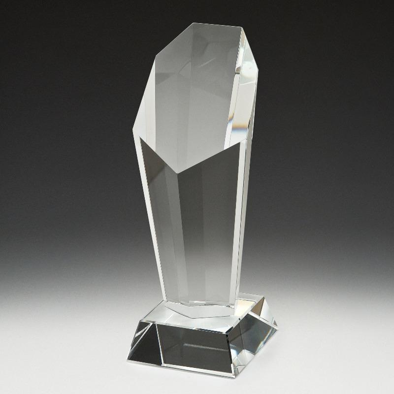 Endurance Award TCD