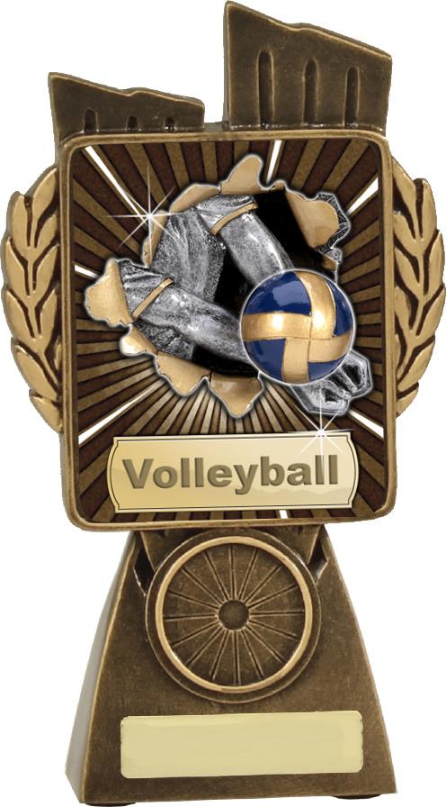 Antique Gold Lynx - Volleyball TCD