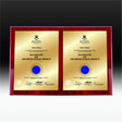 Double - Rosewood Timber Plaque University Plaques