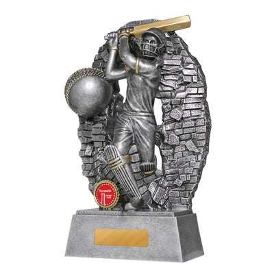 Breaking Down Barriers-Batter Male