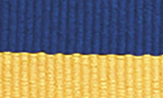 Blue / Yellow Ribbon