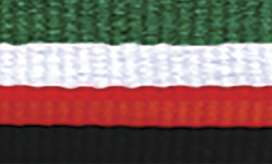 Green / White / Red / Black Ribbon