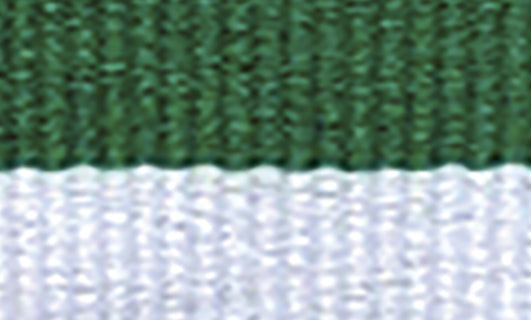 Green / White Ribbon