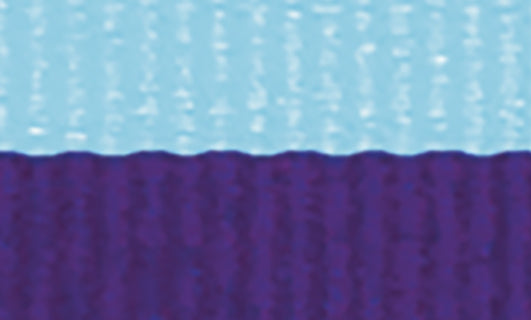 L.Blue / Purple Ribbon