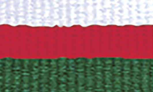 White / Red / Green Ribbon