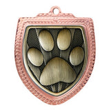 Shield Medal - Football Boot