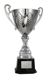 Bordeaux Cup