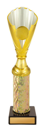 Norwood Cup