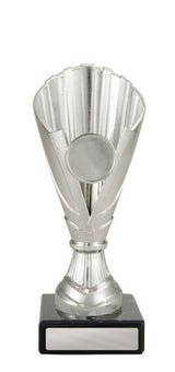 Norwood Cup