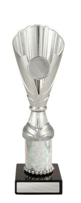 Norwood Cup