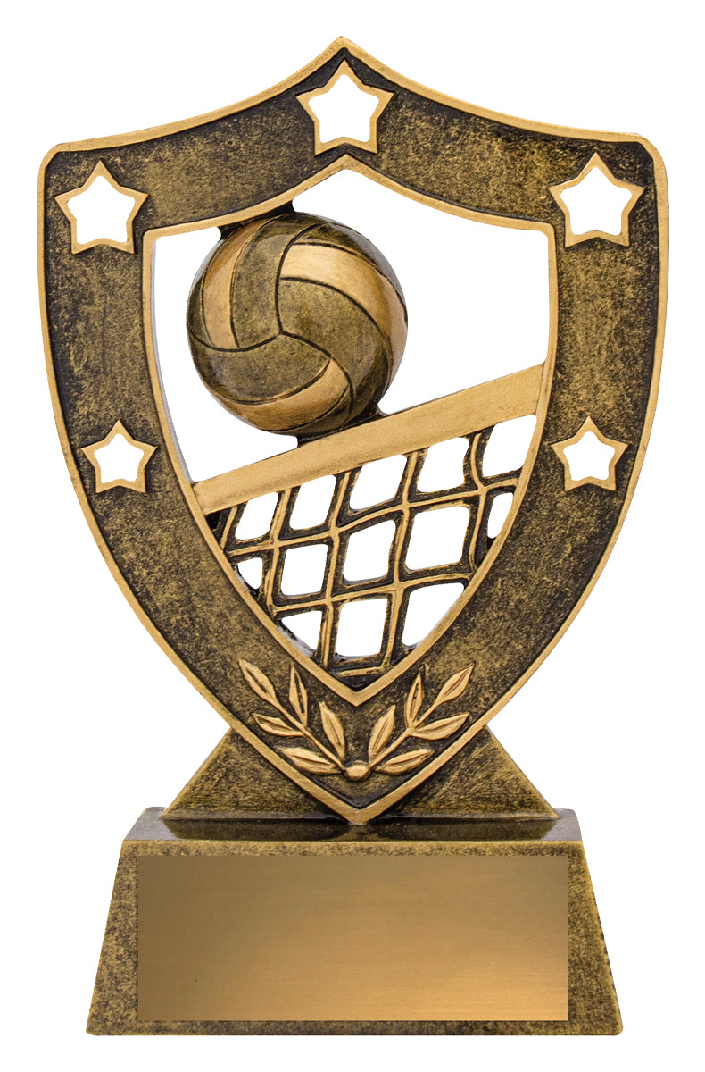 Volleyball Gold Shield 135mm
