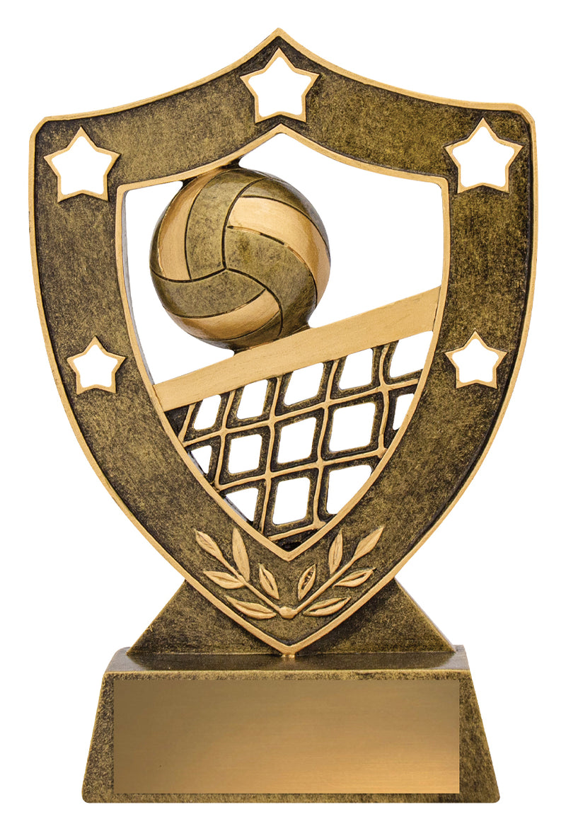 Volleyball Gold Shield 155mm