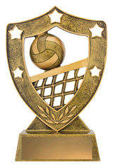 Volleyball Gold Shield 210mm