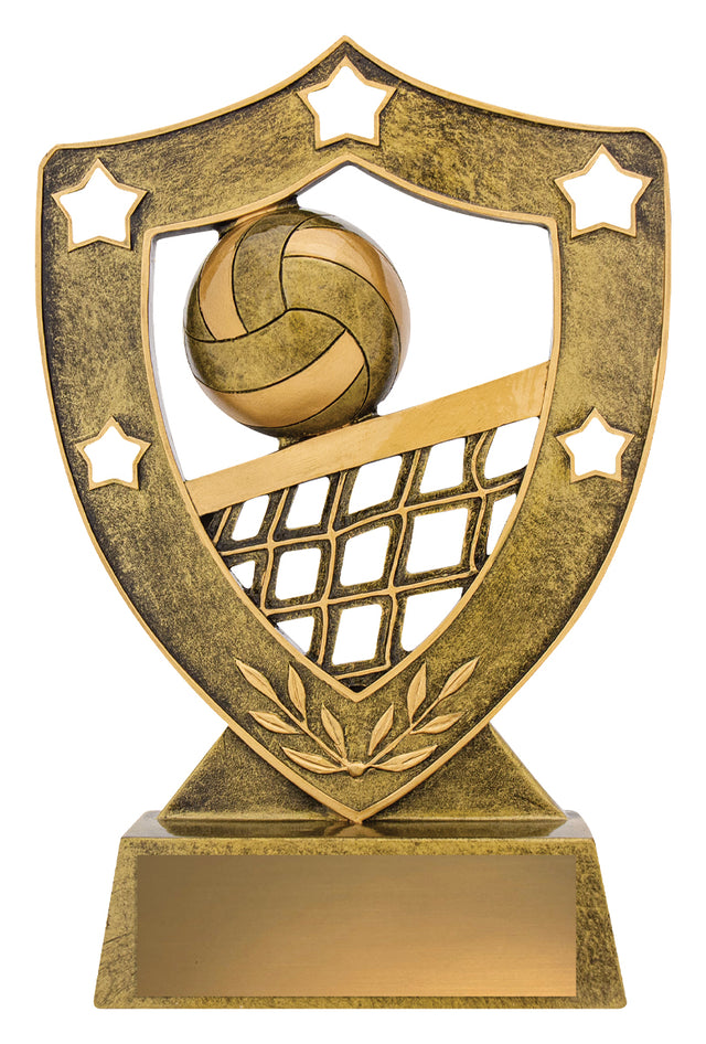 Volleyball Gold Shield 210mm