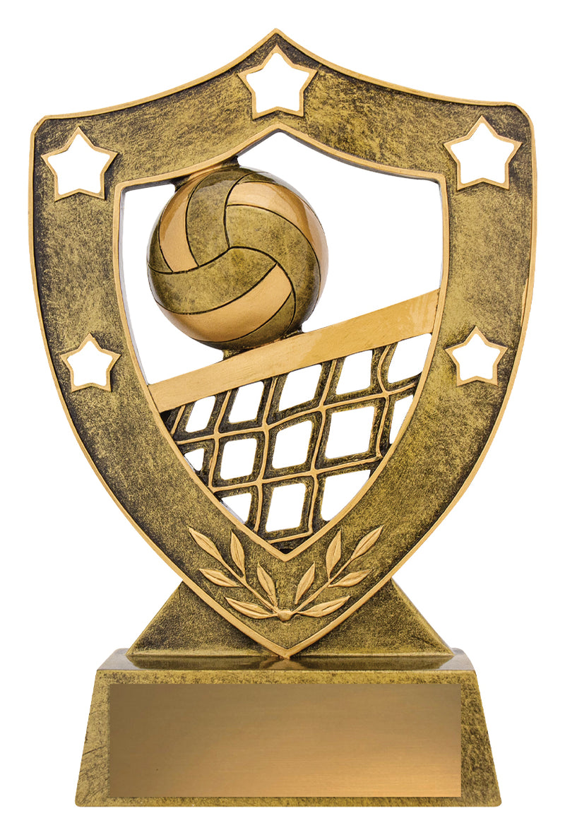 Volleyball Gold Shield 210mm