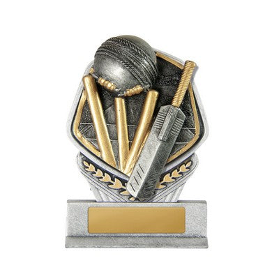 Budget Stand-Cricket