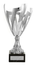 Nest Cup