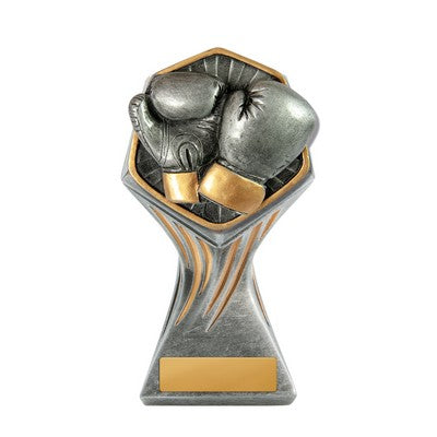 Gladiator Series-Boxing
