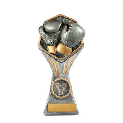 Gladiator Series-Boxing